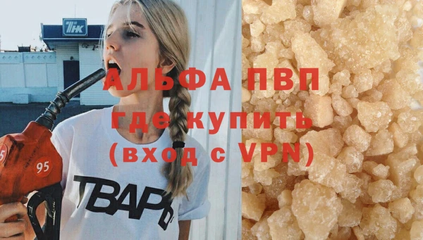 гашик Вяземский